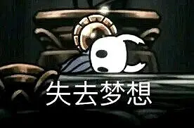 空洞骑士