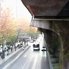 摄影