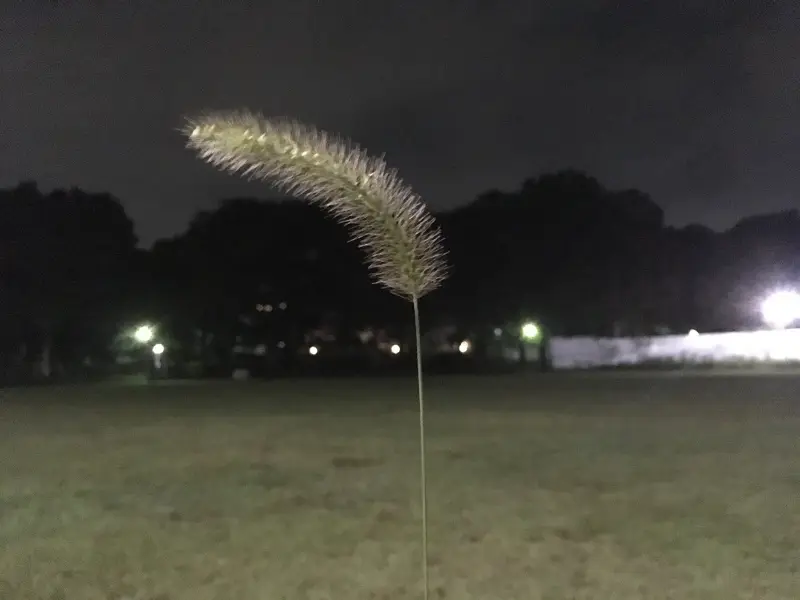 1 | 我们一定要熬过春天