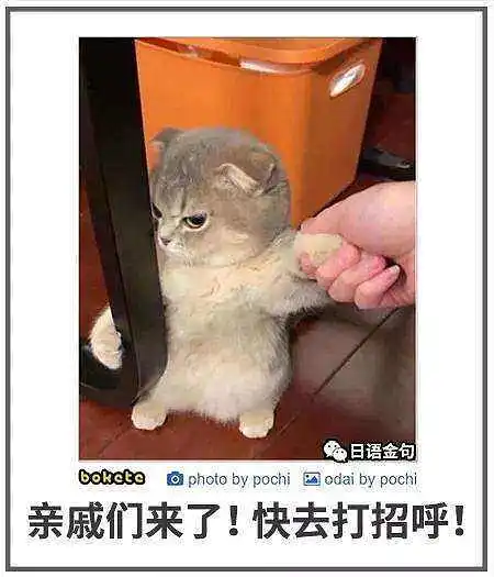 闲聊茶馆