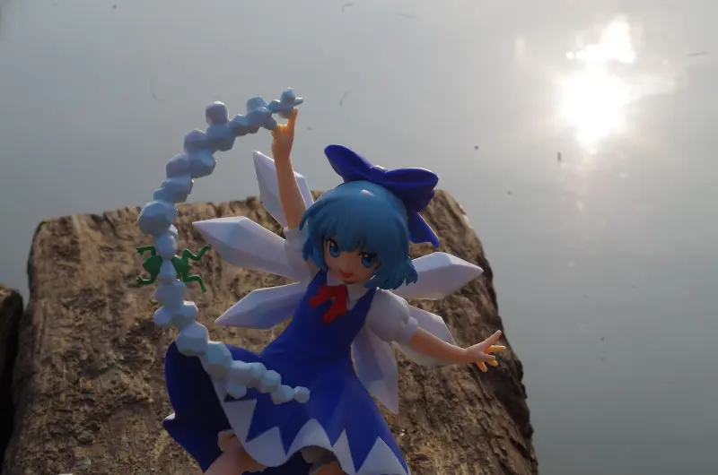 摄影