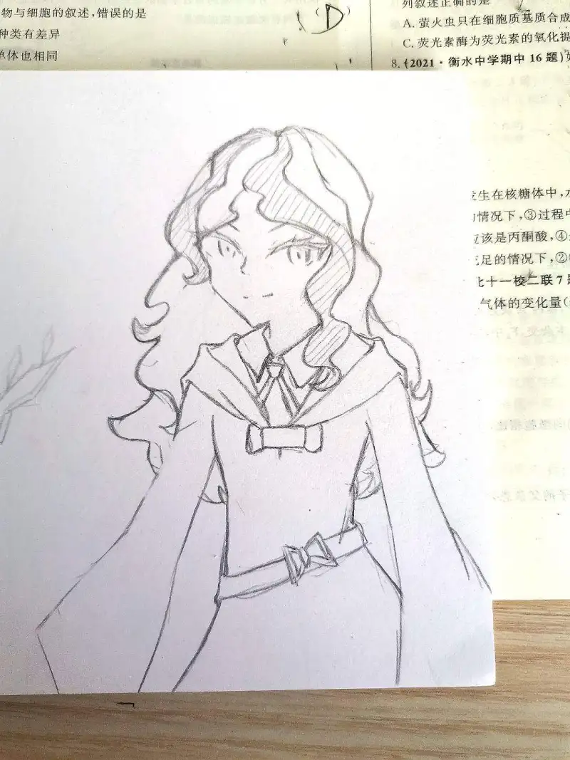二次元萌新就是在下啦(・ω< )★