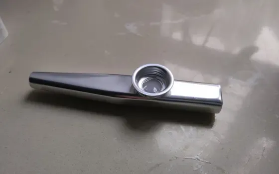 用卡祖笛吹匹诺曹P的《请问有内脏吗？》