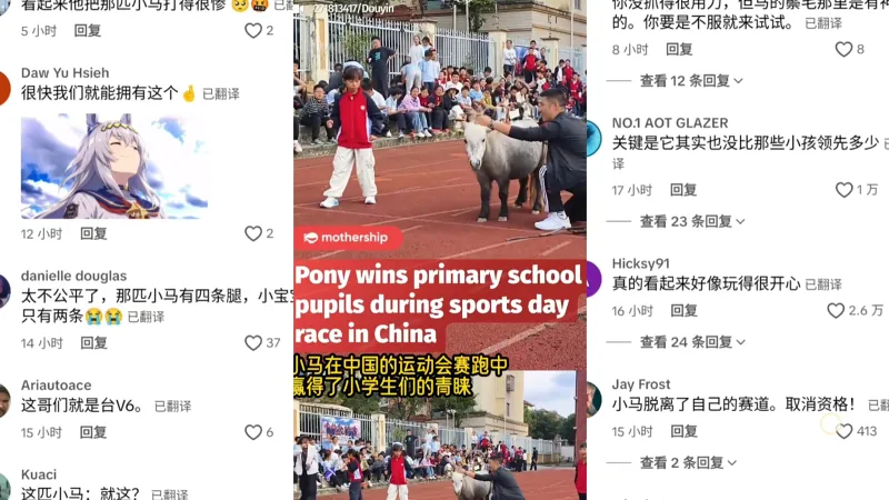 【tiktok】老外热议中国一学校运动会让小马和学生比赛，好有趣喔