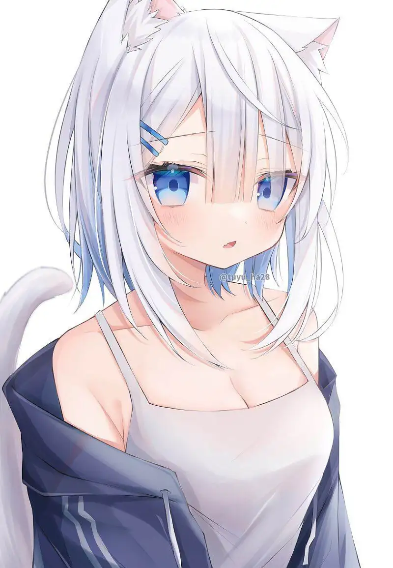 M站美图,美图,猫の日
