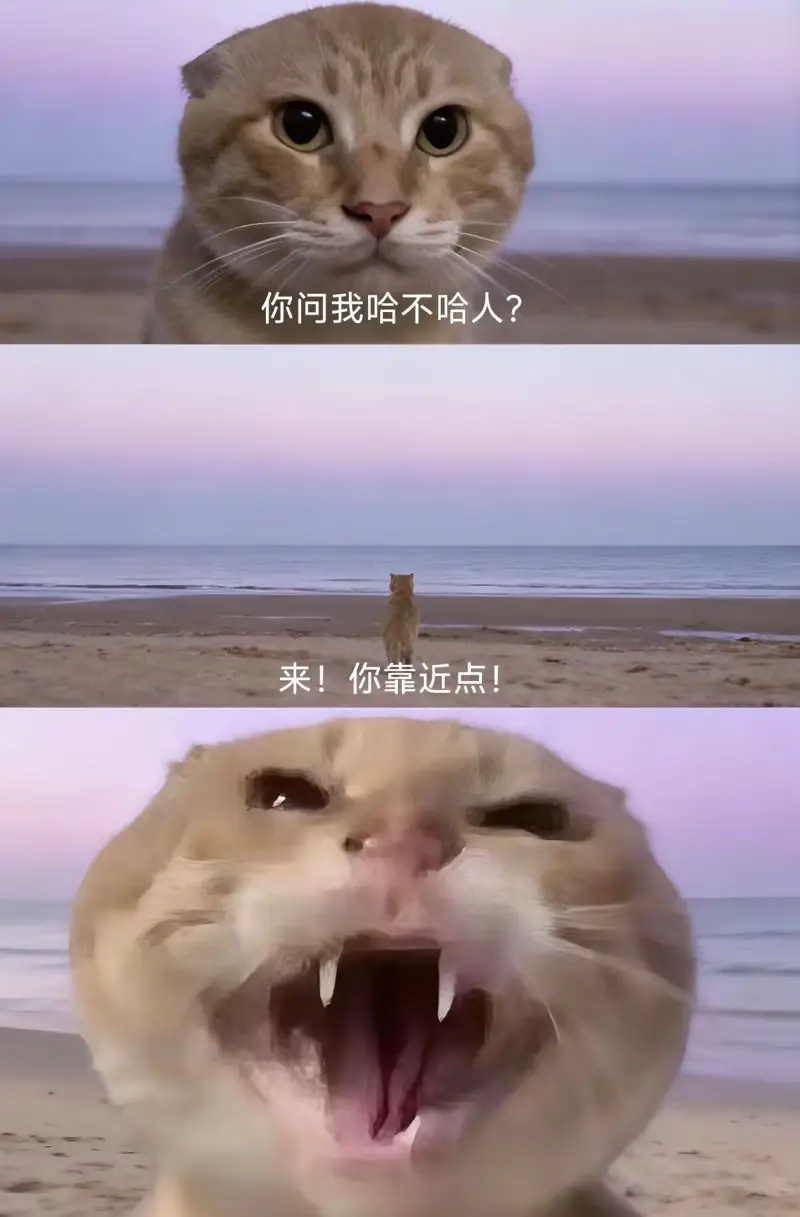 弔图,meme,迷因
