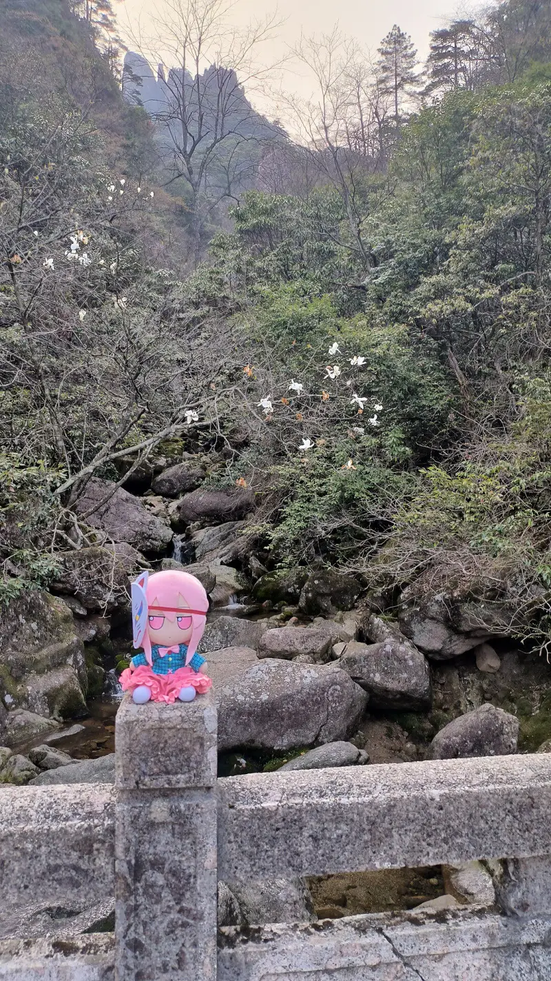 闲聊茶馆,秦心,FUMO,黄山