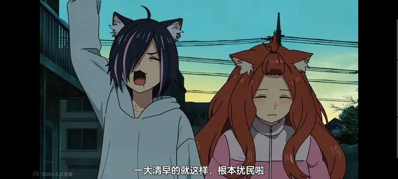 尼古喵喵,雅尼猫,动画,动漫,番剧,日漫,二次元,ACG
