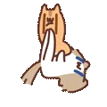 表情包,月薪喵,猫咪表情包,猫meme,哈基米