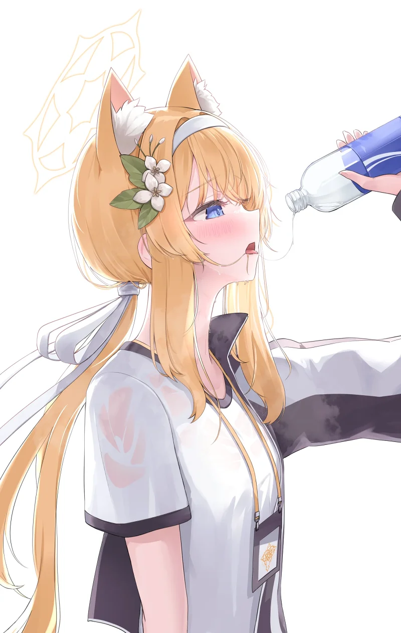 猫娘,涩图,二次元