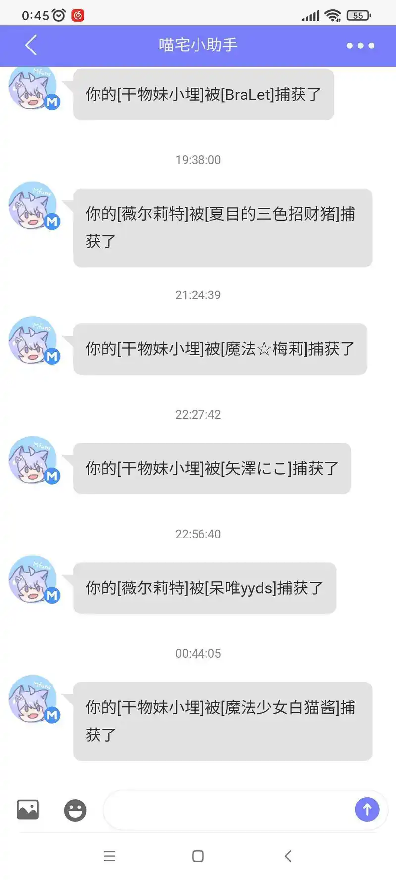 闲聊茶馆,宠物