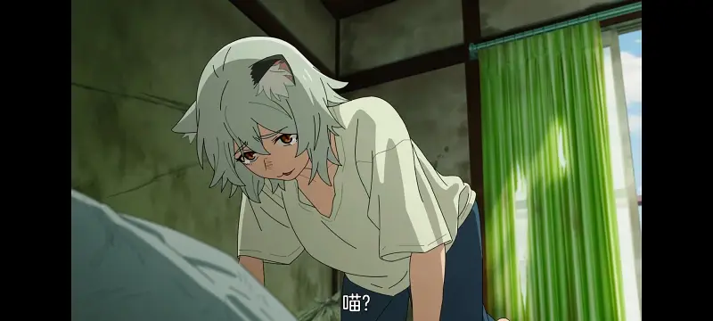 雅尼猫,尼古喵喵,动画,动漫,番剧,二次元,日漫,ACG