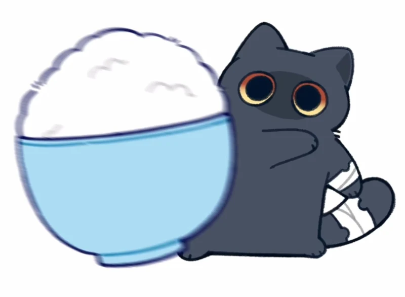 猫猫