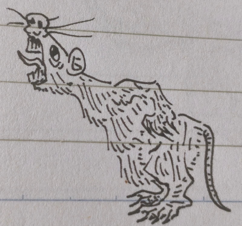 鼠