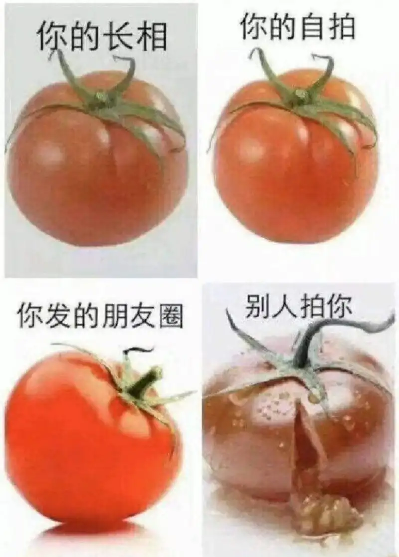 沙雕图