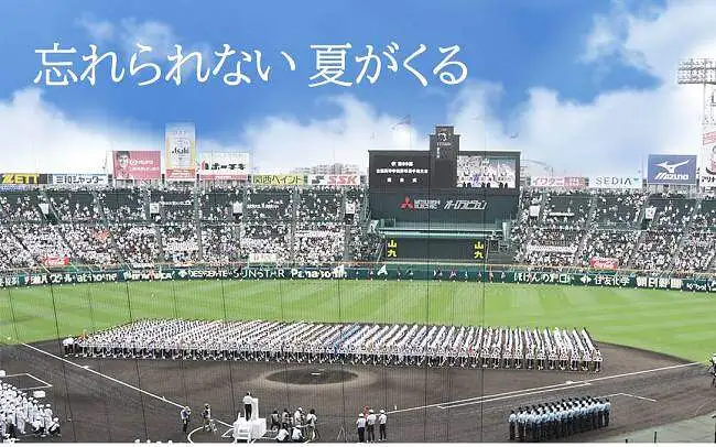 「2018 夏の甲子園」第100回全国高等学校野球選手権大会 P15