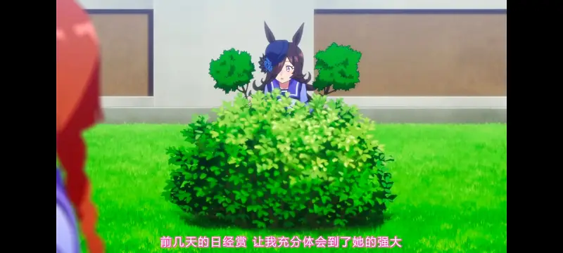 赛马娘,赛马娘第二季,动画,动漫,番剧,二次元,ACG,赛马娘PrettyDerby