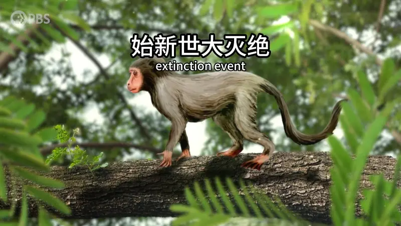 恐龙灭绝后的第二次大灭绝有多狠？