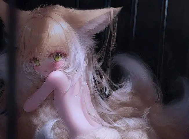 萃取花瓣上的伤，灵魂里，有温柔世界的原谅