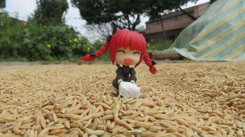 摄影