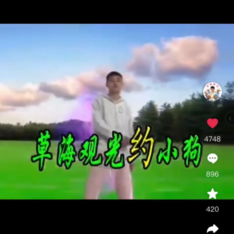 农旭狗狗歌曲～草海观光约小狗
