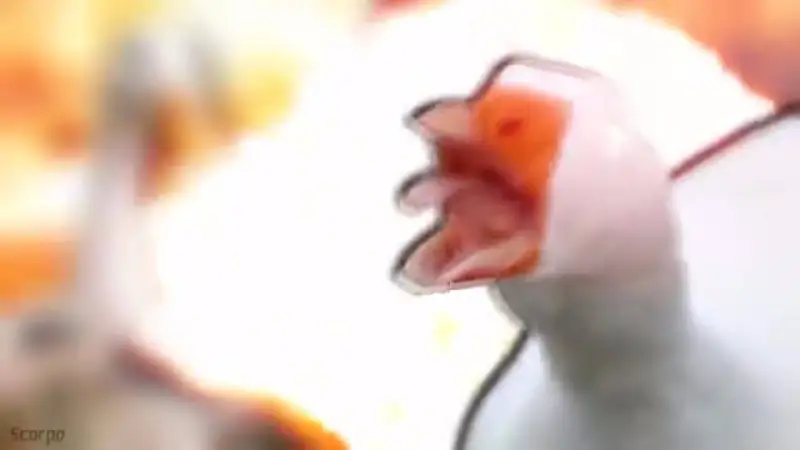 ！？