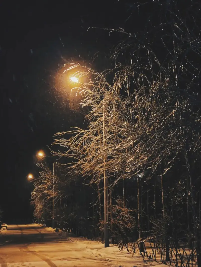08.雪夜觅月行