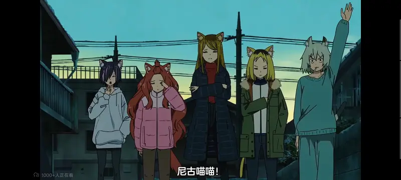 尼古喵喵,雅尼猫,动画,动漫,番剧,日漫,二次元,ACG