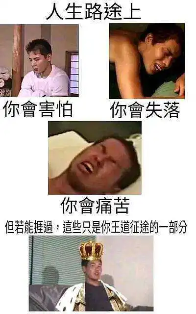新人报道,用户交流,东方PROJECT,野兽先辈