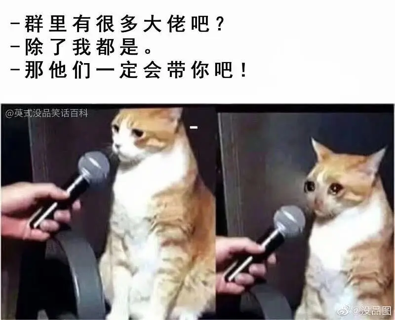 新人报道◝(・ω・)◟