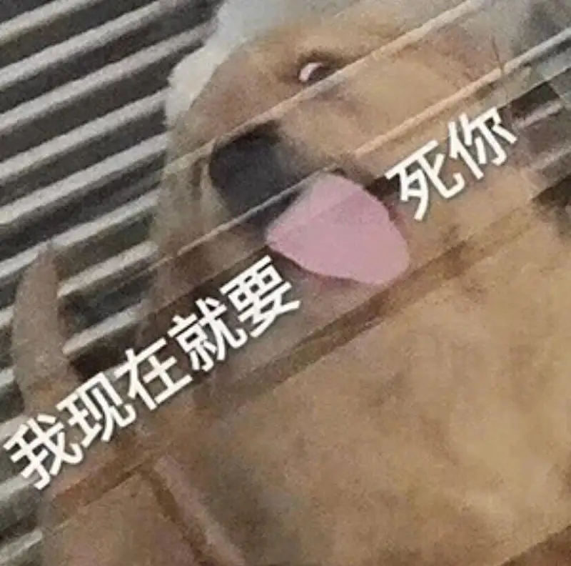 用户交流,搞笑,M站拜年祭