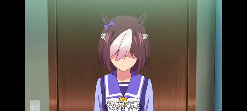 赛马娘,赛马娘PrettyDreby,动画,动漫,番剧,ACG