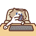 表情包,月薪喵,猫咪表情包,猫meme,哈基米
