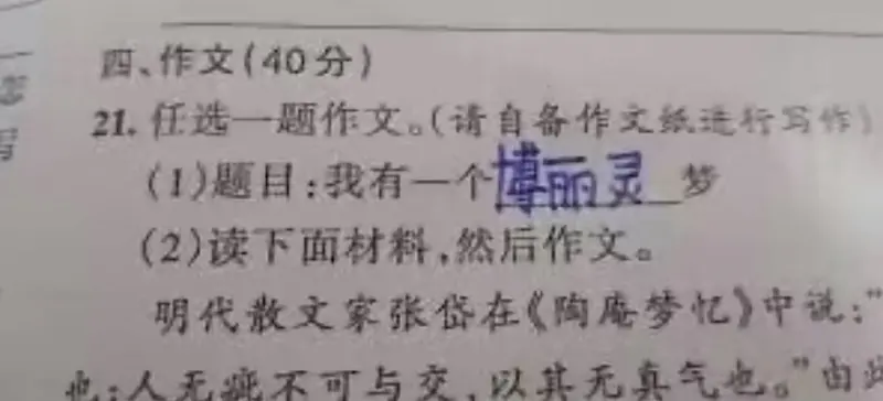 我有一个博丽灵梦