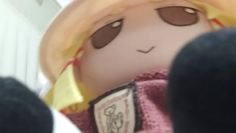 【fumo】参拜视角