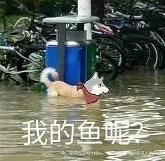 闲聊茶馆,原神,闲聊,水史莱姆