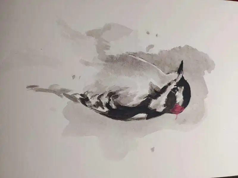 绘画创作,绘画