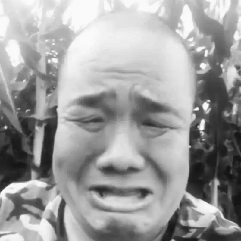 闲聊茶馆,鬼畜,东百往事
