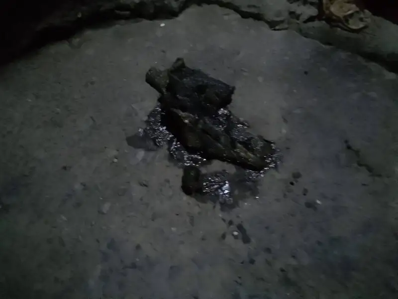 闲聊茶馆,钓鱼,休闲