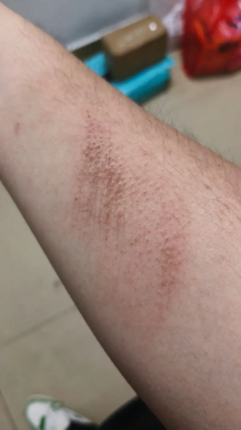 新年的开门红