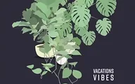 VACATIONS|Vibes VACATIONS|Vibes