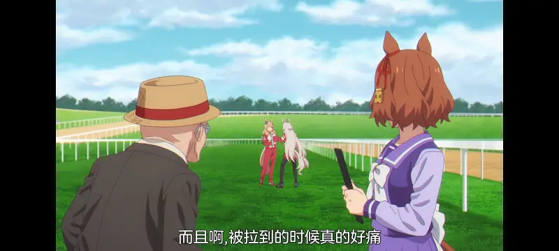 赛马娘,赛马娘PrettyDreby,赛马娘芦毛灰姑娘,芦毛灰姑娘,动画,动漫,番剧,ACG
