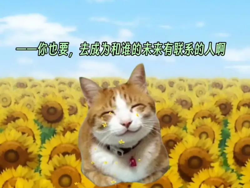 用猫meme的方式打开《东方无限螺旋》的故事（第一部）
