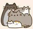 来点猫猫表情包