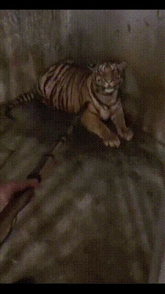 梗图,meme,动图,GIF,亓才孑