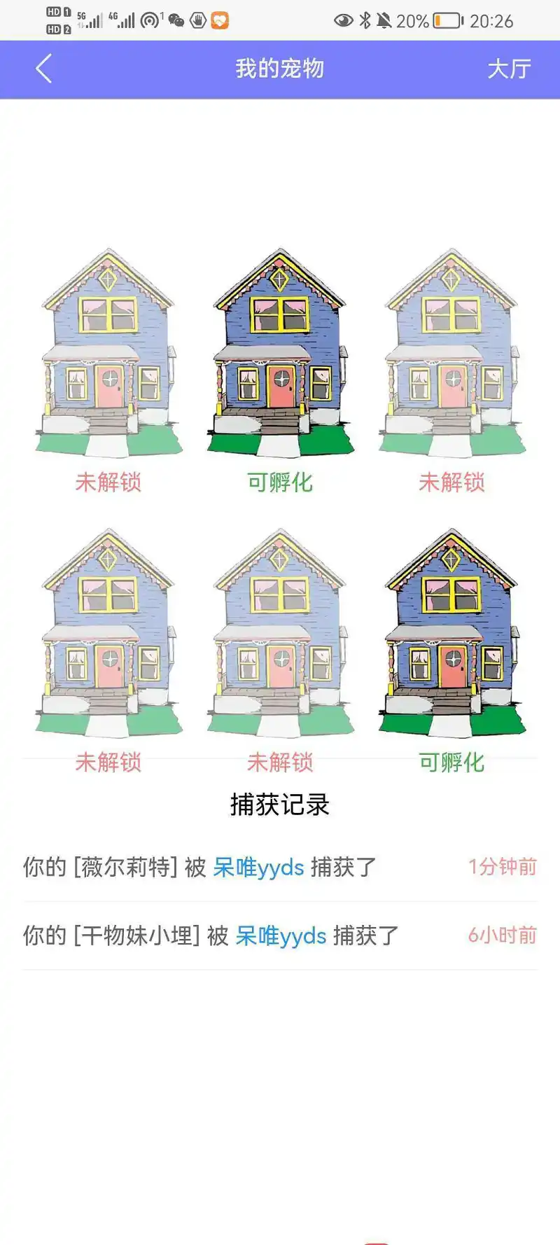 新人报道,新人