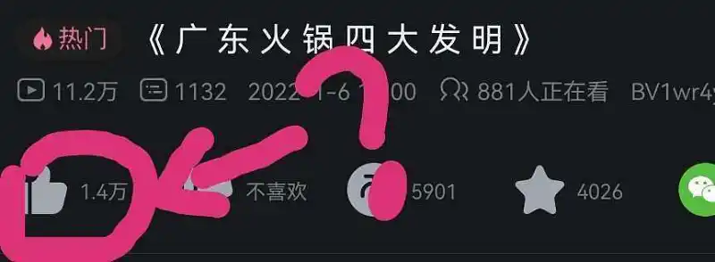 闲聊茶馆,睿站,不要脸,造假