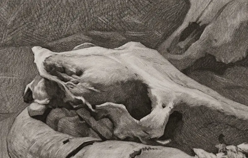 绘画创作,素描,绘画交流