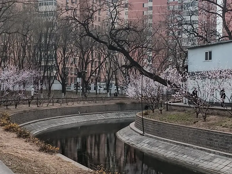 记录