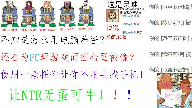 关于如何用电脑养蛋的方法！